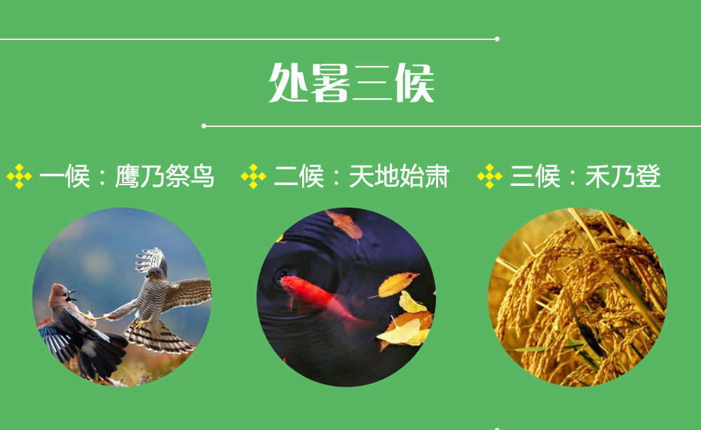 遇见24节气之处暑