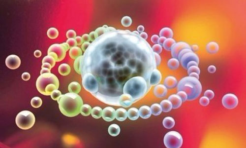 Nature子刊：免疫细胞如何保护自己？