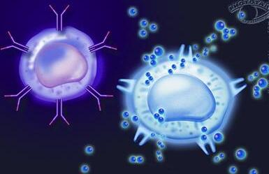 人体健康免疫细胞可长期储存与复苏