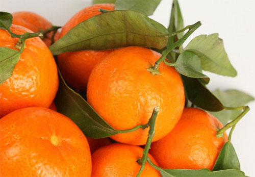  关于橘子的妙用 床头放个橘子可助安眠
