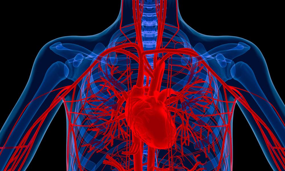 高血脂让男性患心脏病概率翻倍！一指标预示血脂异常