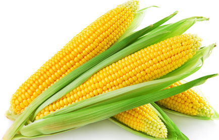 玉米须是高血压克星，这么吃就能清热、降血压