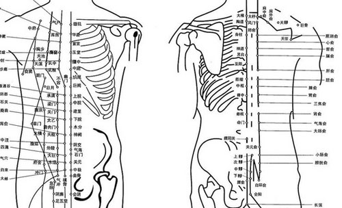 中医常说穴位 你知道穴位的由来吗？
