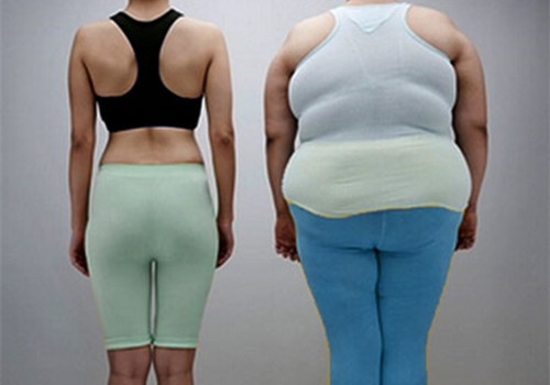 研究称：减肥 要靠瘦子“传染”？