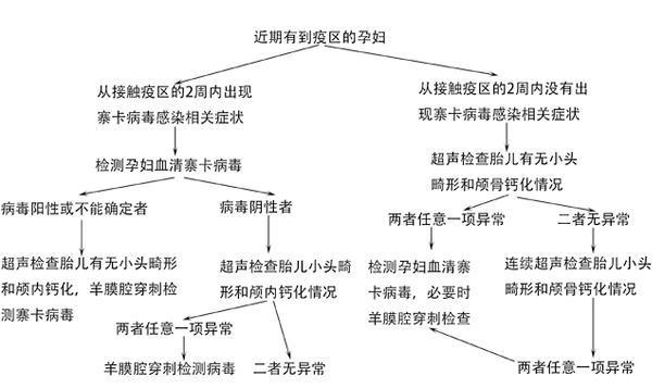 寨卡病毒来袭：中国有输入风险 医生应该怎么做？