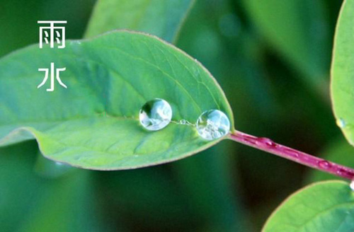 雨水节气到了  你了解它吗？