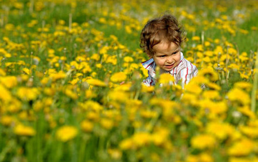 春季孩子易过敏 做好这几点可有效预防