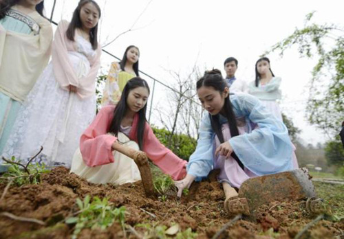 湖南大学生着汉服种草药 为弘扬千年中医药文化（图）