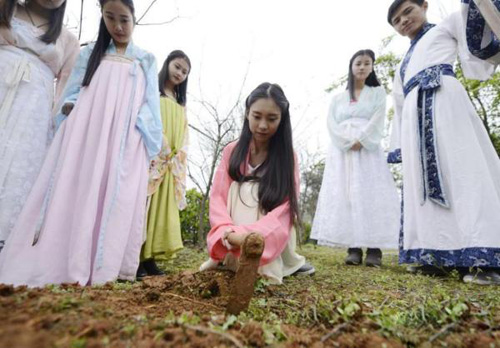 湖南大学生着汉服种草药 为弘扬千年中医药文化（图）