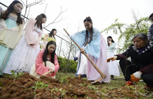 湖南大学生着汉服种草药 为弘扬千年中医药文化（图）