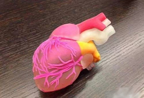 从3D打印心脏模型到真实心脏还有多远