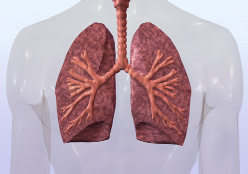 五个问题让你全面了解和预防肺结核