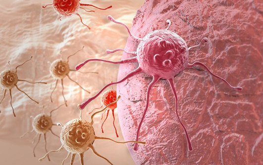科学家发现肿瘤早期诊断方法