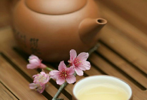 春季养生不妨喝点花茶和绿茶