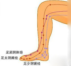 经络拍打+穴位按摩还你健康美腿