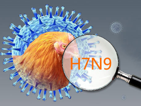 江西确诊2例H7N9病例 两名患者为母子关系