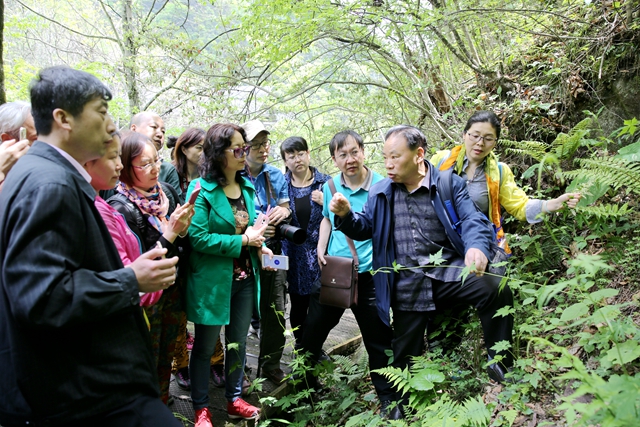 中医药学生如何上课   走进深山识中药