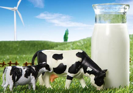 国内奶企食安审计成常态 进口乳粉将迎全面检查