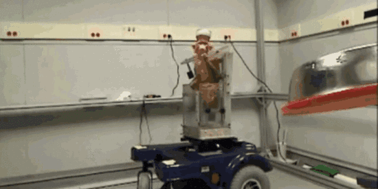 新型无线脑机接口：猴子可用思想控制轮椅