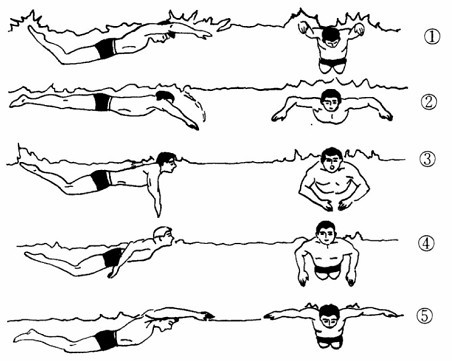 自由泳动作要领 让你快速学会游泳