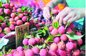 广东：今年荔枝上市晚价格高