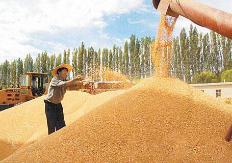 国家粮食局：做好受灾地区夏粮收购