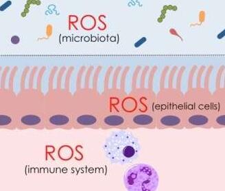 Cell Host & Microbe：良好的肠道关系或帮助抵御病原体入侵