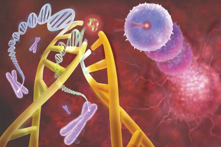 PLoS Genet：循环肿瘤DNA片段更短小 有助开发液体活检新技术