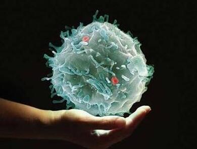 美国研发出癌症新疗法：用近红外线激活免疫细胞