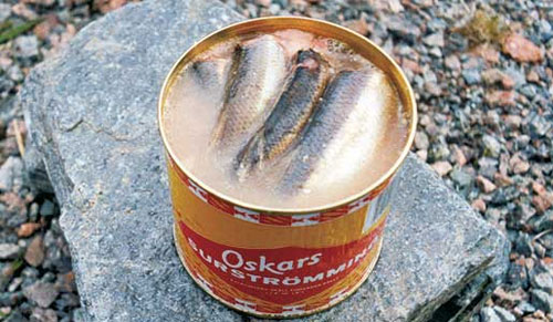 令人作呕的鲱鱼罐头有什么营养价值？