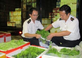 天津检验检疫截获多种具有繁殖能力的新鲜蔬菜