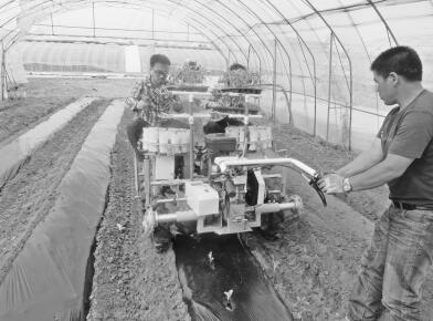 北京：机械化提升蔬菜产业竞争力