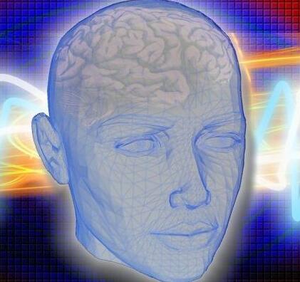 科学家找到大脑负责意识的关键区域