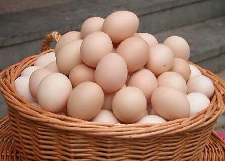 鸡蛋价格持续低迷