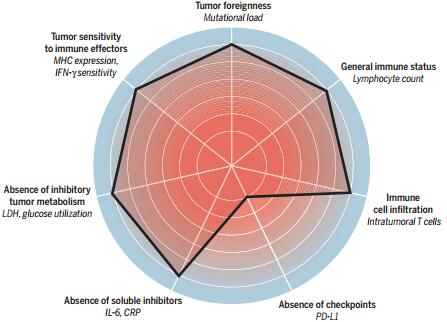 Science：癌症免疫疗法的“七大关键因素”