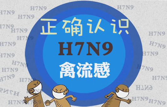 H7N9来袭！还能愉快的吃鸡吗？