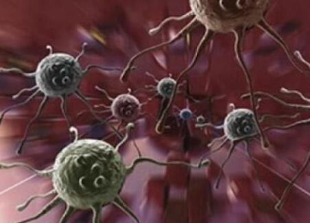 特定免疫细胞可靶向治疗癌症