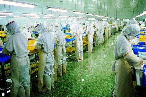 浙江警方跨四省捣毁特大有毒食品生产产业链 涉案两亿