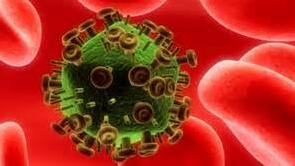 Nature：CD32a 蛋白暴露艾滋病病毒 “藏身地”