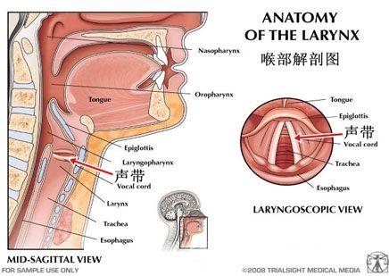 中国科学家发明人工喉 助聋哑人开口说话