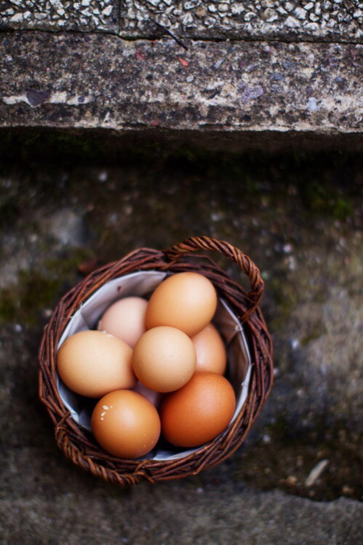 广东：3月鸡蛋价格创四年来新低