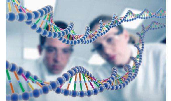 想高效分析人类基因功能？试试“反向遗传学”