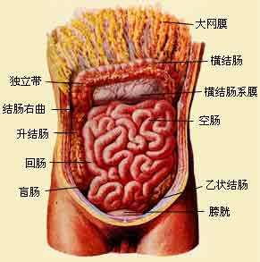 逾9成结肠癌源自息肉 专家提醒：一定要定期复查