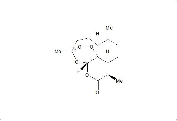 王国强出席中非复方青蒿素清除疟疾研讨会