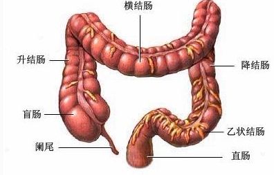 新型结直肠癌靶向药物在华上市 转移性结直肠癌患者适用