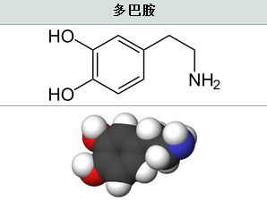 你为什么想吃肉？多巴胺神经元在“捣鬼”