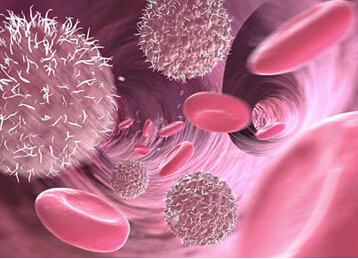 我国研究显示干细胞有望治疗卵巢早衰