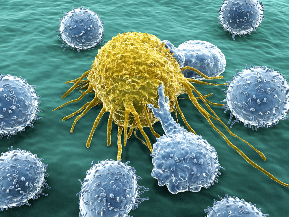 建议批准首种治疗癌症基因疗法