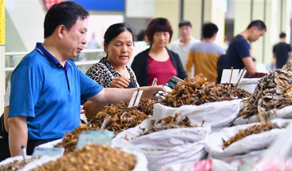 “以药为媒 对话世界”第33届中药材会成功举办