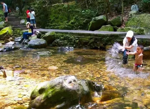 在鼎湖，健康活过一百岁不是稀罕事！“世界长寿之乡”的养生秘诀是……